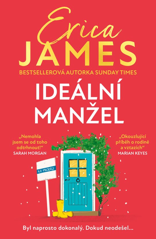 Ideální manžel -  Erica James