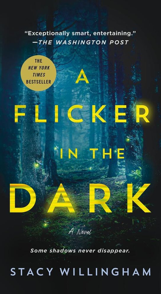 A Flicker in the Dark -  Stacy Willingham