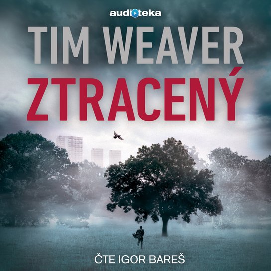 Ztracený -  Tim Weaver