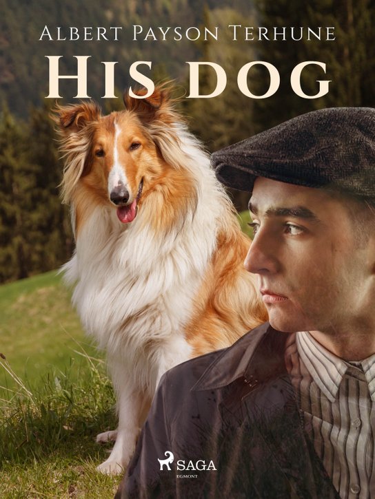 His Dog -  Albert Payson Terhune