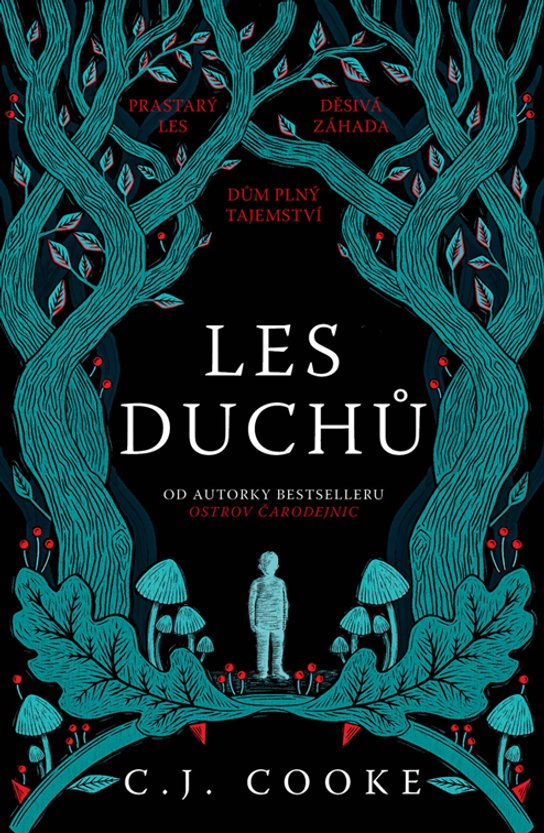 Les duchů -  Carolyn Jess Cooke
