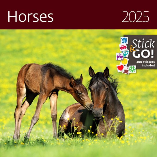 Horses 2025 - nástěnný kalendář -  Autor Neuveden