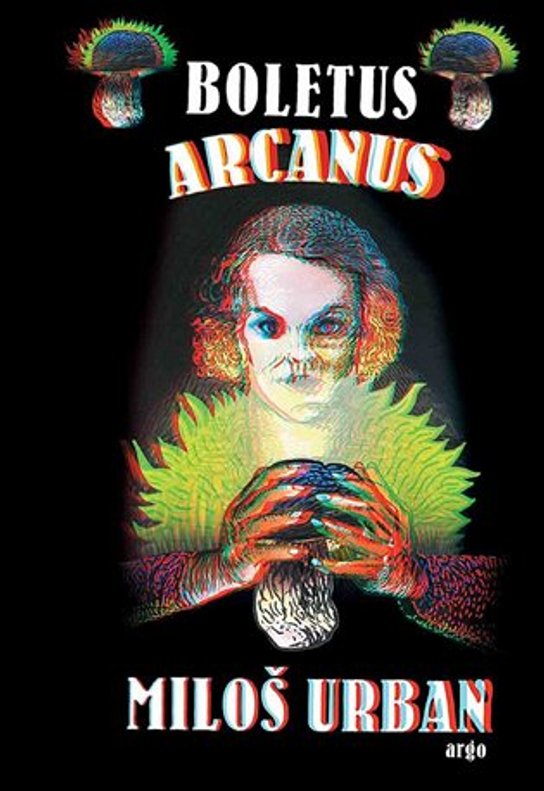 Boletus arcanus - Miloš Urban