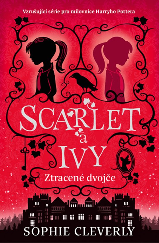 Ztracené dvojče -  Sophie Cleverly