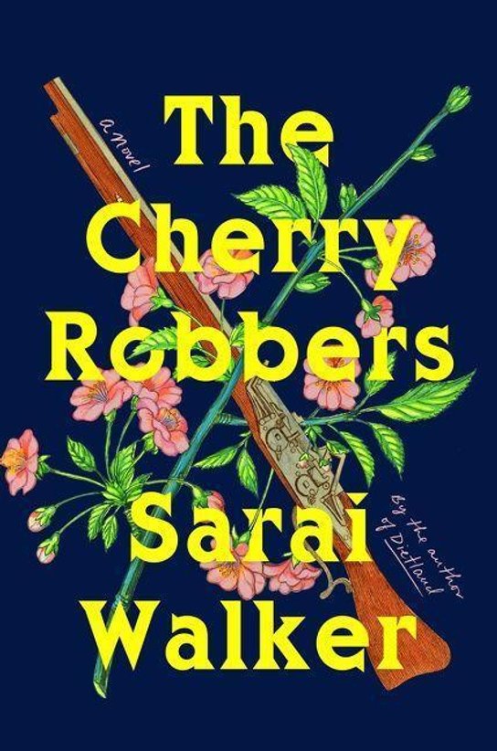The Cherry Robbers -  Naoise Dolan