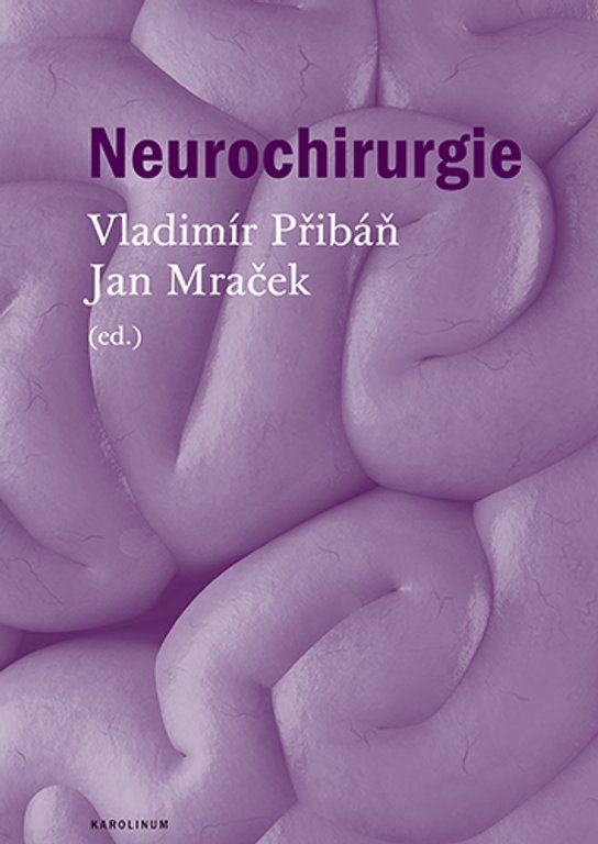 Neurochirurgie