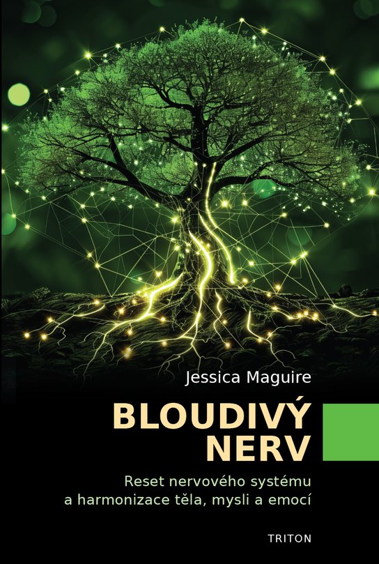 Bloudivý nerv -  Jessica Maguire