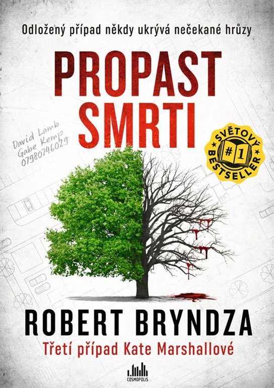 Propast smrti -  Robert  Bryndza
