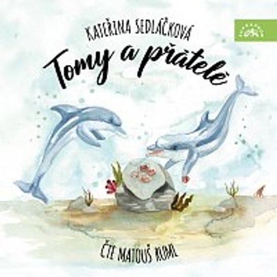 Tomy a přátelé -  Matouš Ruml