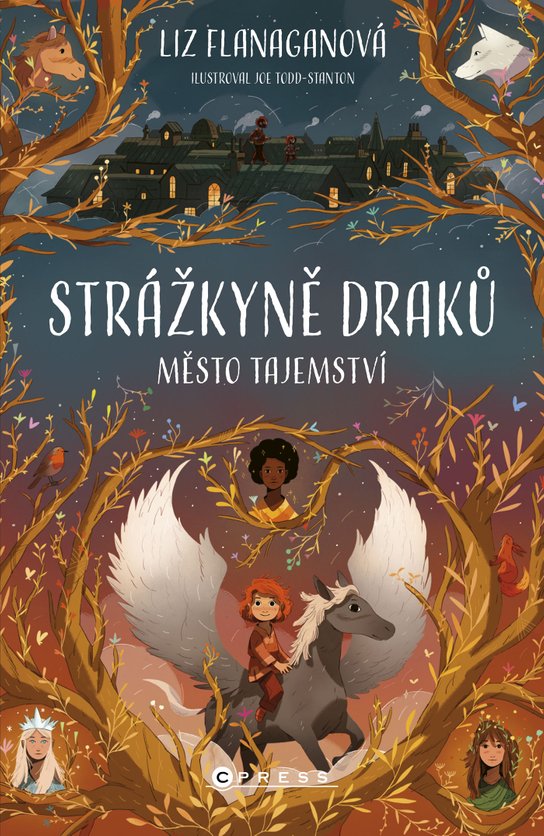 Strážkyně draků: Město tajemství -  Liz Flanagan