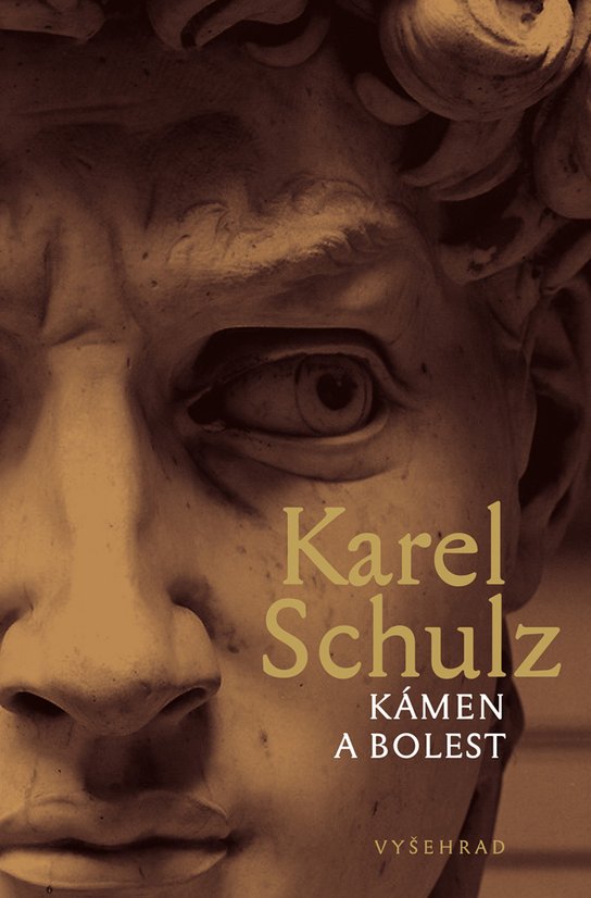 Kámen a bolest -  Karel Schulz