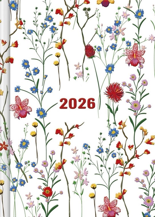 Praktik denní diář Louka 2026