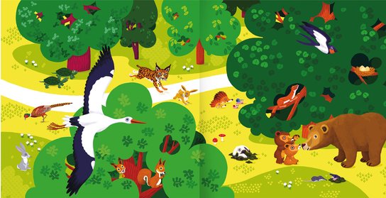 Zvířata v lese - Kniha