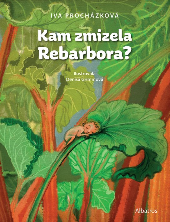 Kam zmizela Rebarbora? -  Mgr. Iva Procházková