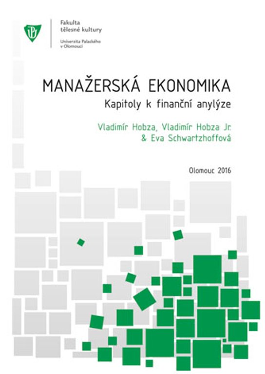Manažerská ekonomika. Kapitoly k finanční analýze. -  Jiří Hoblík