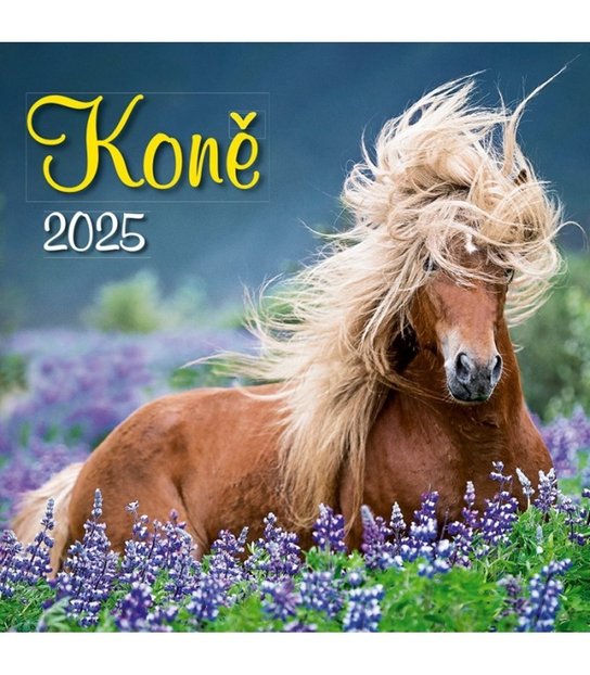Nástěnný kalendář Koně 2025
