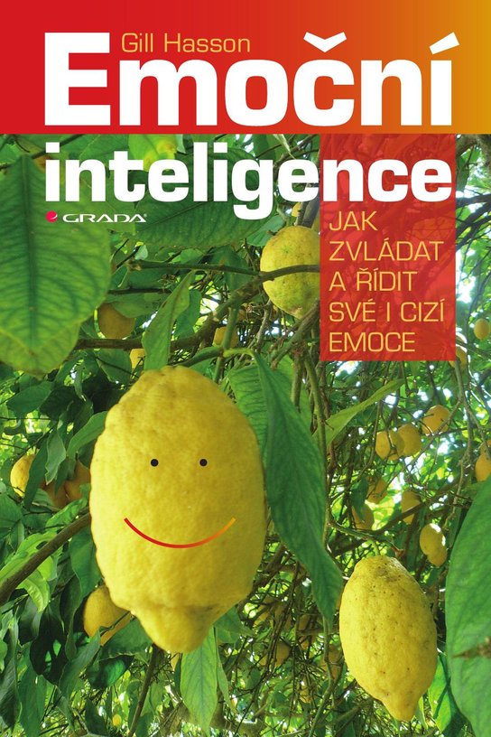 Emoční inteligence -  Gill Hasson