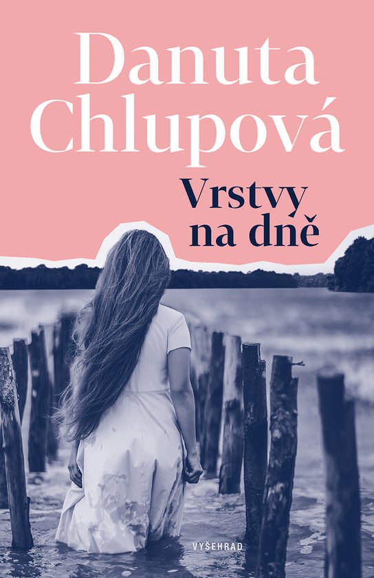 Vrstvy na dně -  Danuta Chlupová