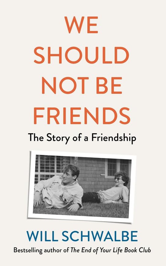 We Should Not Be Friends -  Will Schwalbe