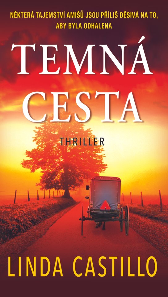 Temná cesta -  Linda Castillo