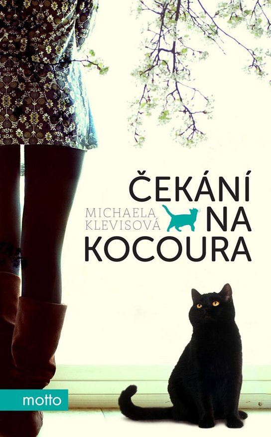 Čekání na kocoura -  Michaela Klevisová