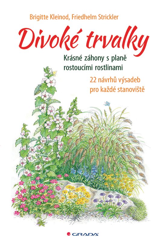 Divoké trvalky -  Friedhelm Strickler