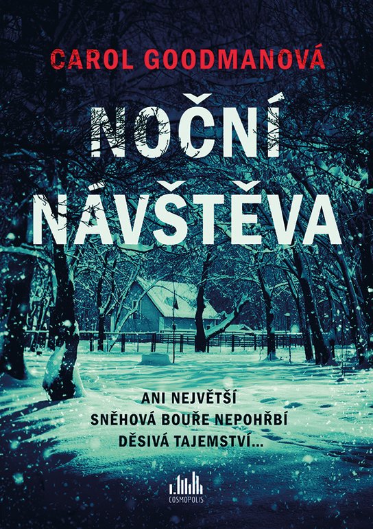 Noční návštěva -  Carol Goodman