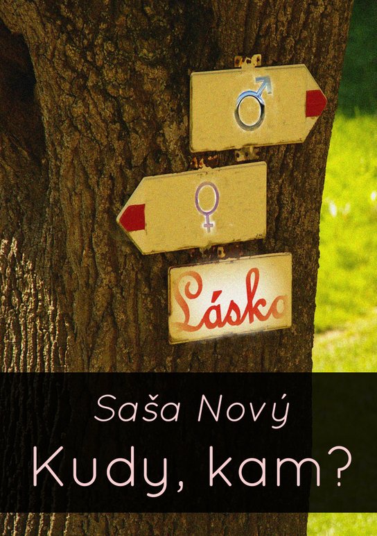 Kudy, kam? - Saša Nový