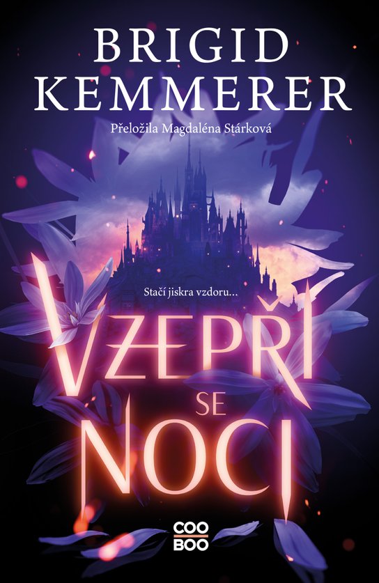 Vzepři se noci -  Brigid Kemmerer