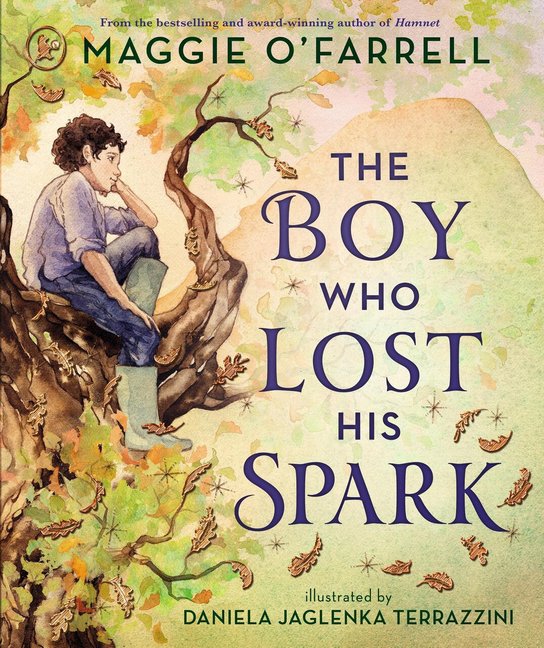 The Boy Who Lost His Spark -  Maggie O'Farrell