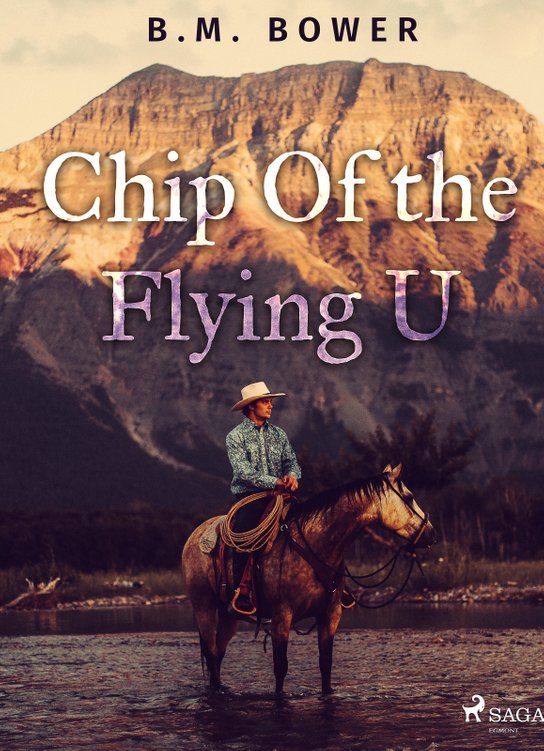 Chip Of the Flying U -  B. M. Bower