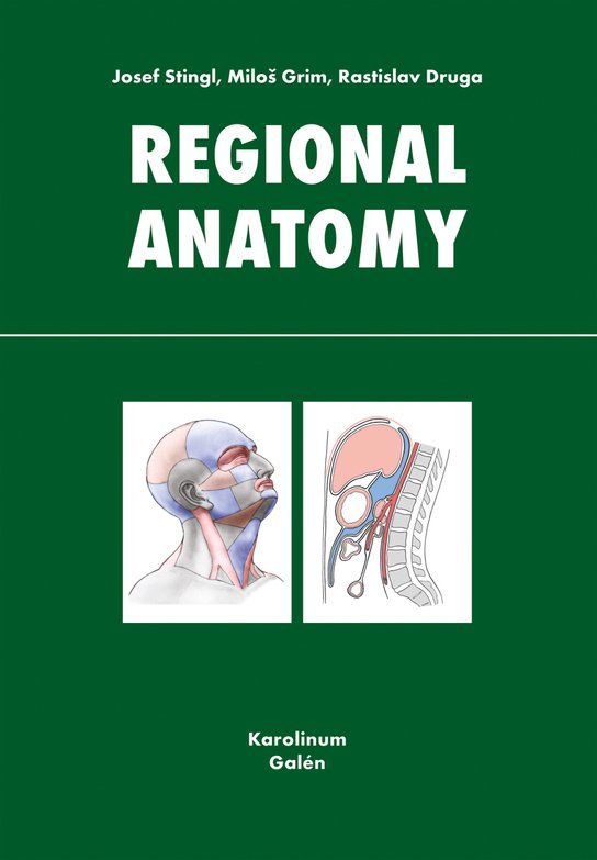 Regional anatomy -  Josef Stingl