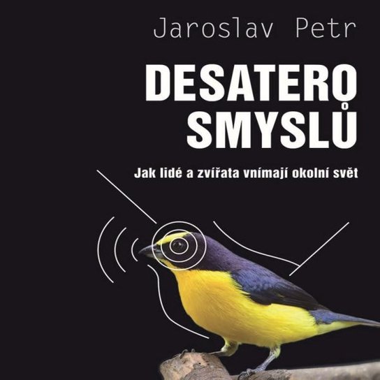 Desatero smyslů, mp3 - Jaroslav Petr