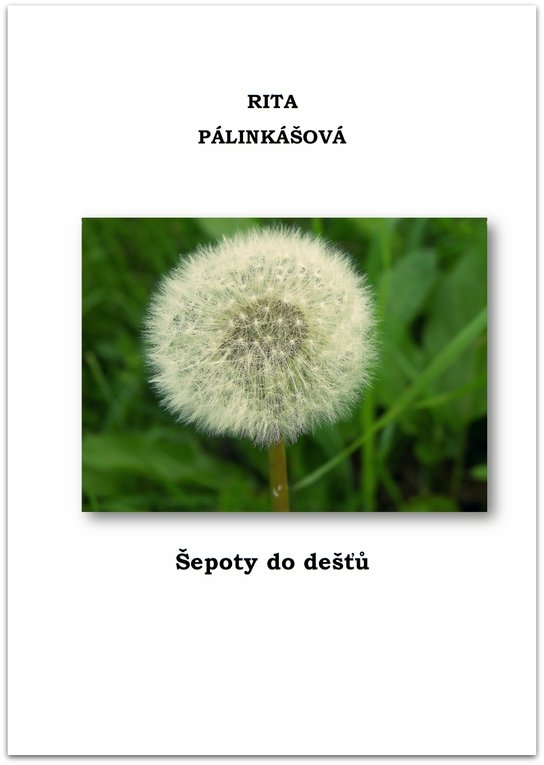 Šepoty do dešťů - Rita Pálinkášová