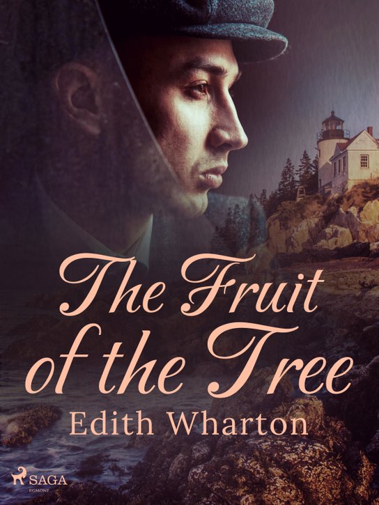 The Fruit of the Tree -  Edith Wharton