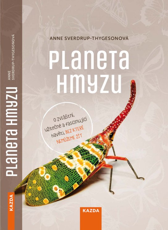 Planeta hmyzu - Anne Sverdrup-Thygesonová