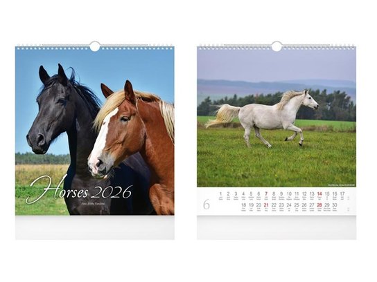 Nástěnný kalendář Horses 2026