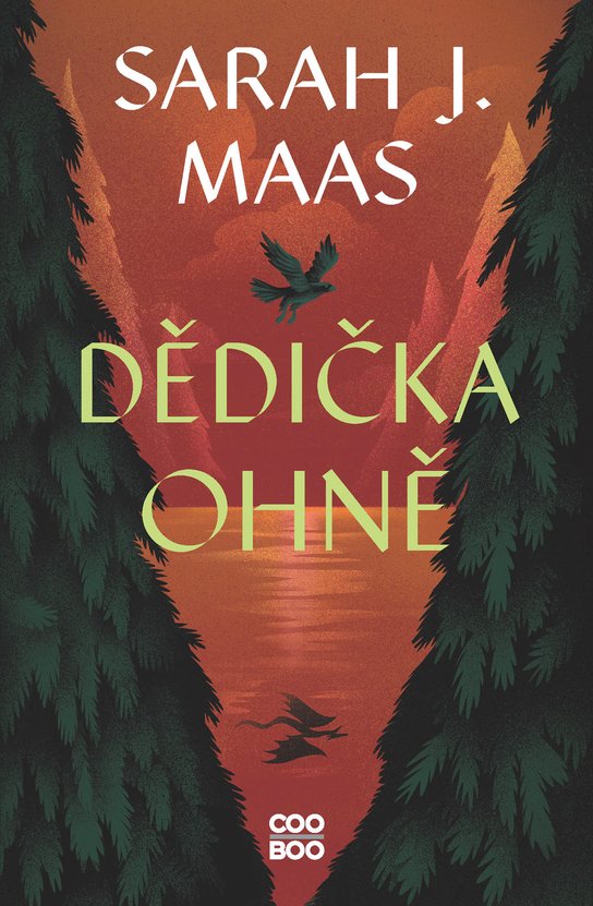 Dědička ohně -  Sarah J. Maas
