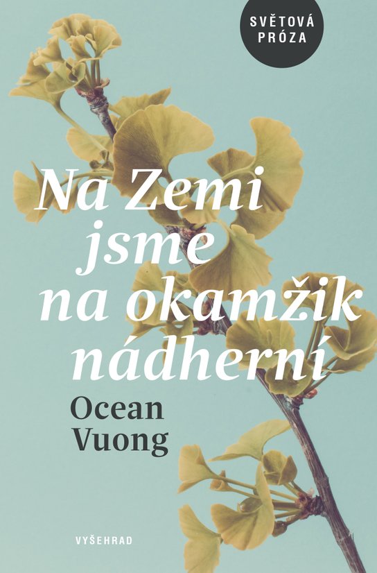Na Zemi jsme na okamžik nádherní -  Ocean Vuong