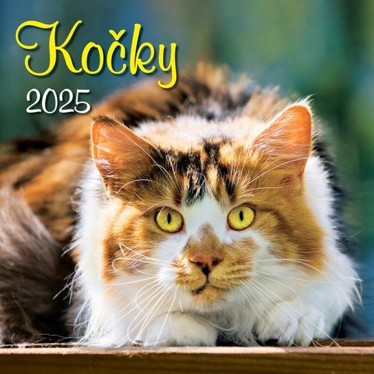 Kočky 2025 - nástěnný kalendář -  Autor Neuveden
