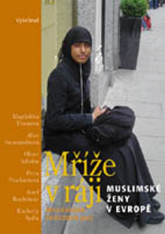 Mříže v ráji -  Magdaléna Frouzová