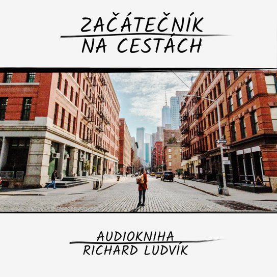 Začátečník na cestách -  Richard Ludvík
