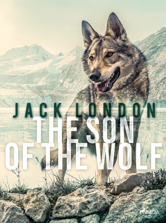 The Son of the Wolf -  Jack London