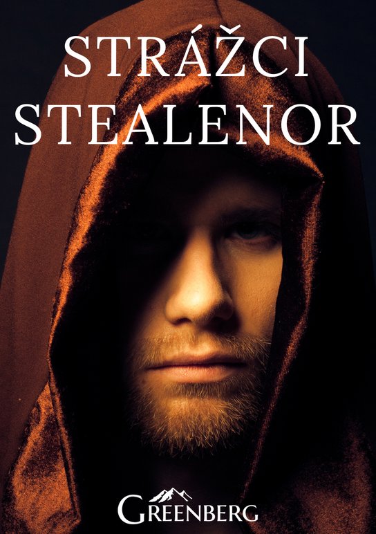 Strážci Stealenor -  Charlie Greenberg