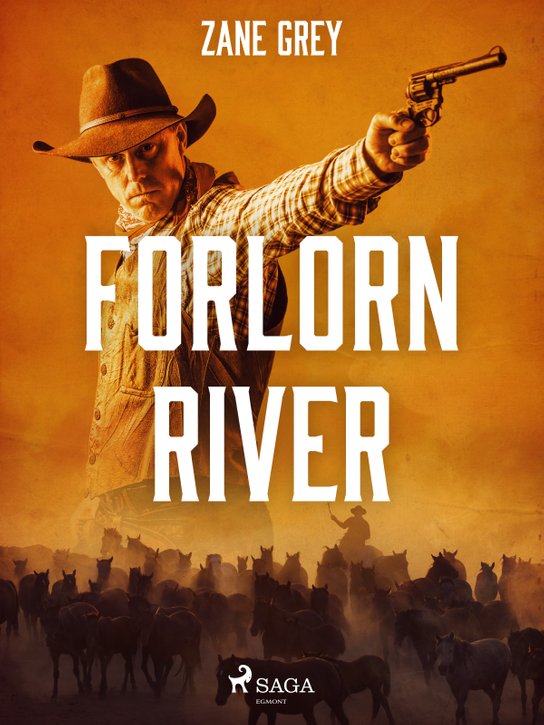 Forlorn River -  Zane Grey