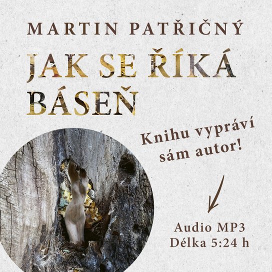 Jak se říká báseň -  Martin Patřičný