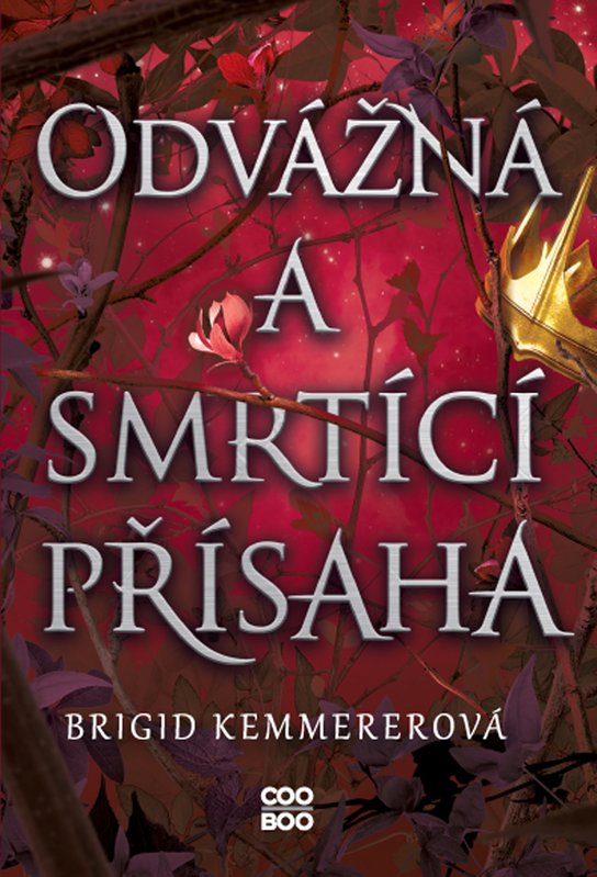 Odvážná a smrtící přísaha -  Brigid Kemmerer