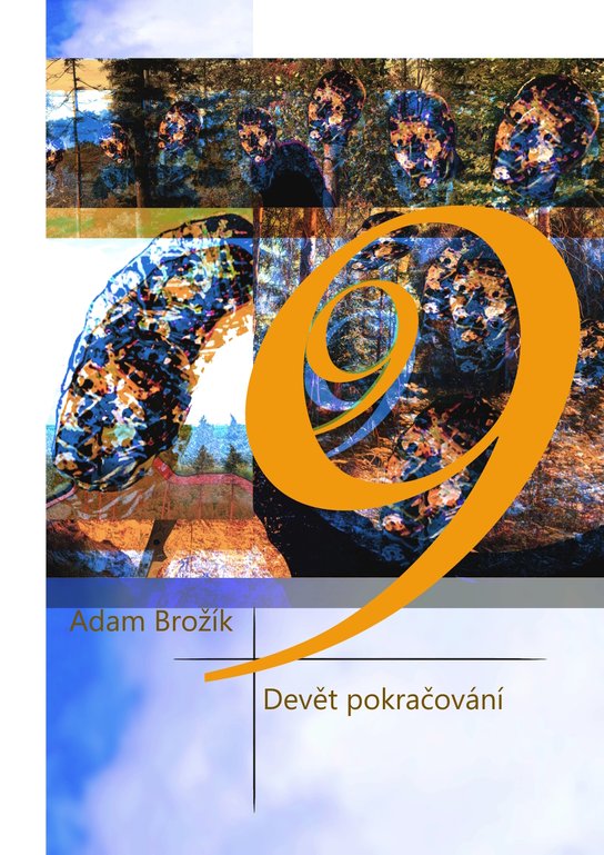 Devět pokračování -  Adam Brožík