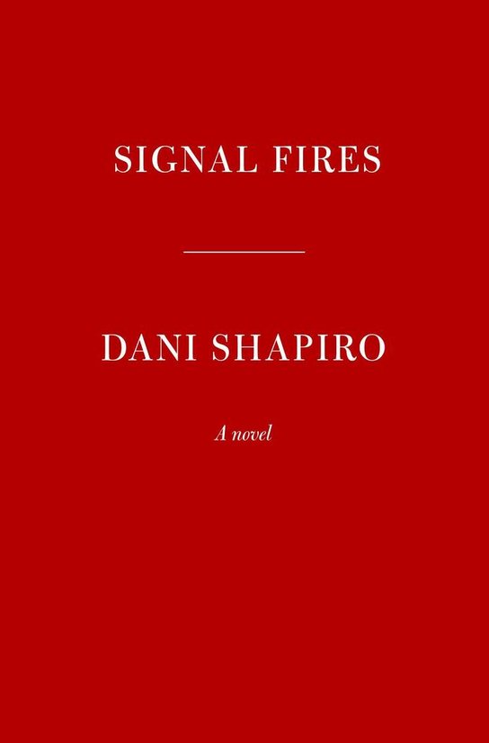 Signal Fires -  Daniel Shapiro