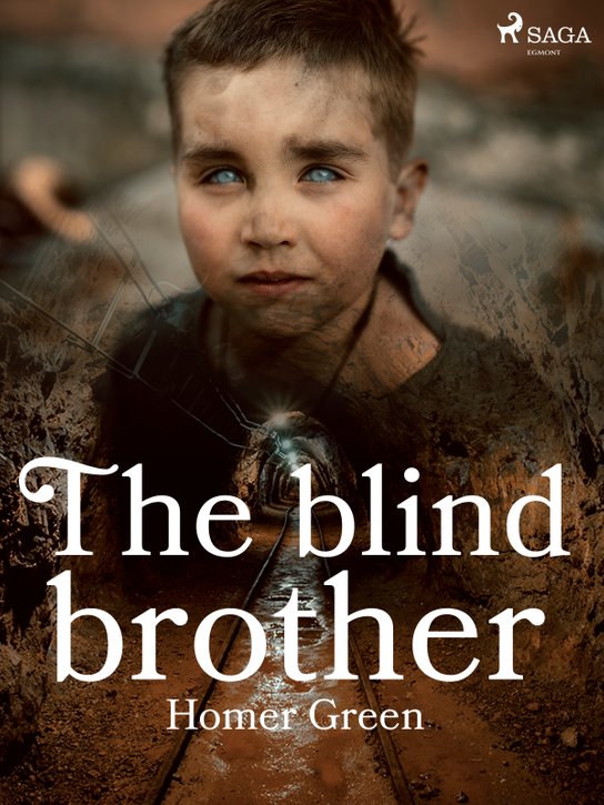 The Blind Brother -  Homer Greene
